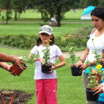 La psicología ambiental, las actitudes y la educación ambiental Psicología ambiental - Educación ambiental
