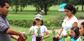 La psicología ambiental, las actitudes y la educación ambiental Psicología ambiental - Educación ambiental